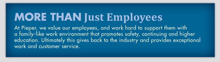More Than Just Employees